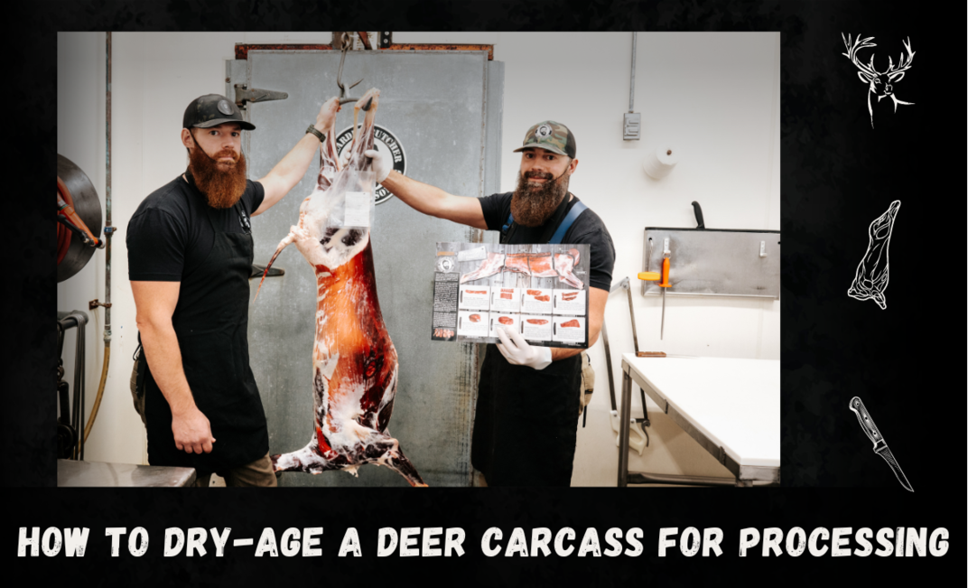 How to Dry-Age a Deer Carcass for Processing