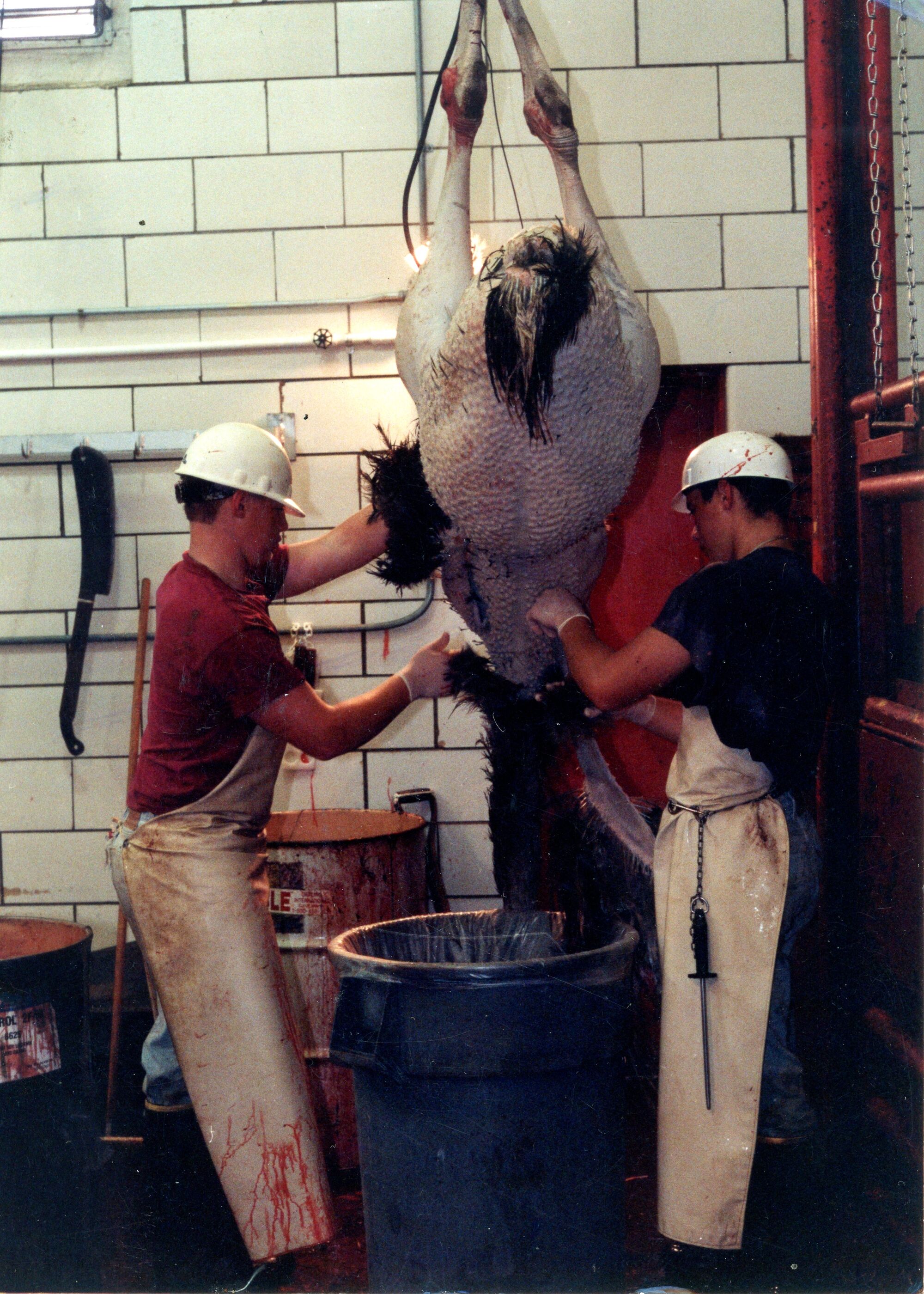 The Bearded Butchers as teenagers